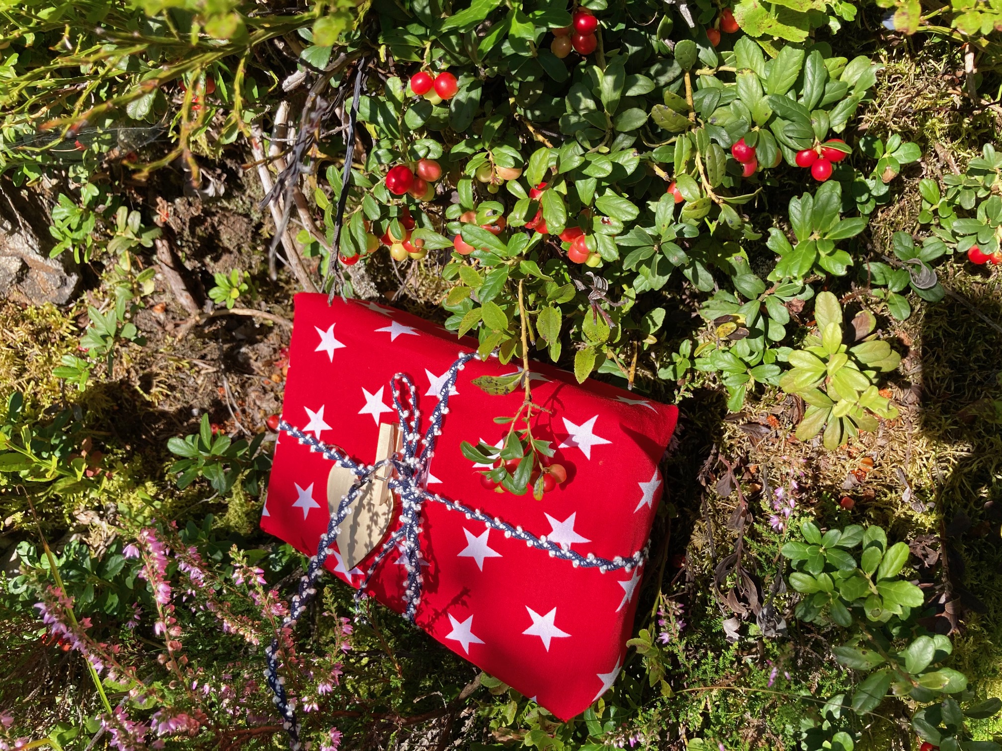 Advent mit Weihnachtsstern (viele Größen) Advent mit Weihnachtsstern (viele Größen)
